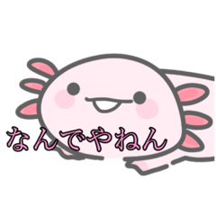 [LINEスタンプ] うぱぺったん(ウーパールーパースタンプ)