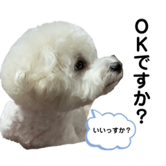 [LINEスタンプ] 我が家の殿下