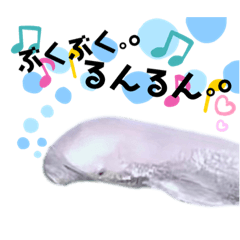 [LINEスタンプ] 海。空撮スタンプ『総集編』その②