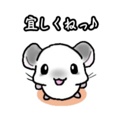 [LINEスタンプ] 毎日チンチラさん(パイド)