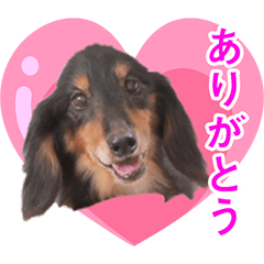 [LINEスタンプ] 1人息子のルイくん♡