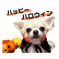 [LINEスタンプ] キキとララハロウィン甘え語スタンプ