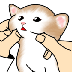 [LINEスタンプ] ネコ ネコ ハッピー ネコ