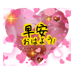 [LINEスタンプ] 中国語・日本語かわいいゴージャスあいさつ