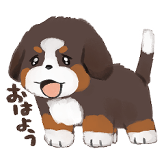 [LINEスタンプ] 今日もバーニーズ！