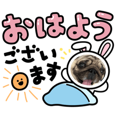 [LINEスタンプ] パグさんの日常編