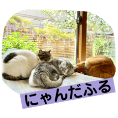 [LINEスタンプ] 花と琥珀と実々-3
