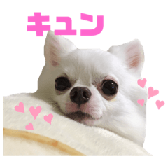 [LINEスタンプ] 名前はぼくです
