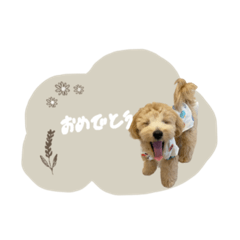 [LINEスタンプ] chocoshan様専用