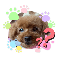 [LINEスタンプ] 沖ぷー