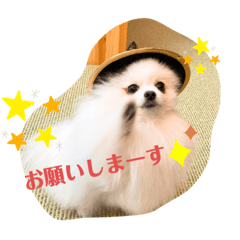 [LINEスタンプ] ふわふわすふれ その2