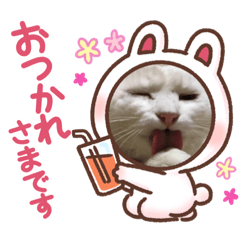 [LINEスタンプ] ヨッタン元気ですか〜