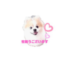 [LINEスタンプ] まろまる