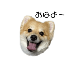 [LINEスタンプ] ぷんすけ①
