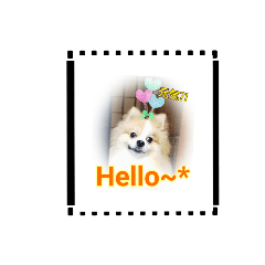 [LINEスタンプ] マルポメ