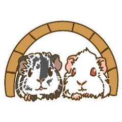 [LINEスタンプ] モグワイとシロ