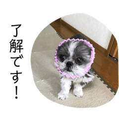 [LINEスタンプ] ちょこスタンプ No.1(カラフル)