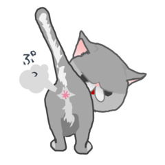 [LINEスタンプ] 灰色の猫「ぬこ」