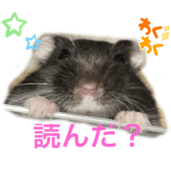 [LINEスタンプ] ルツ君