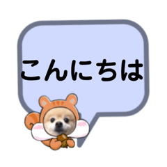 [LINEスタンプ] ぽんリスちゃん