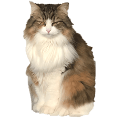 [LINEスタンプ] ティナとウル