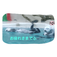 [LINEスタンプ] 動物スタンプ（改良版）挨拶