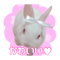 [LINEスタンプ] ぽんぴのぷうスタンプ