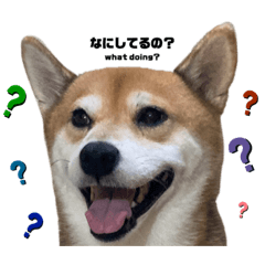 [LINEスタンプ] 僕、げん！！