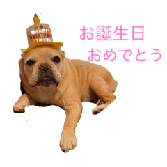 [LINEスタンプ] フレンチブルドッグのもなとろく