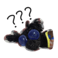 [LINEスタンプ] くろいトイプードル ぽぽ