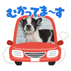[LINEスタンプ] ふれぶるのはなちゃん②