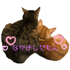 [LINEスタンプ] ミリメラPart1♡