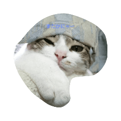 [LINEスタンプ] まだかにゃ