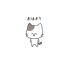 [LINEスタンプ] ねこちゃんDX