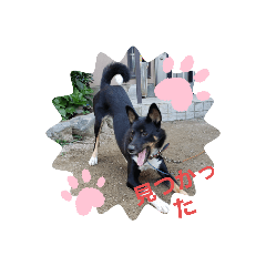 [LINEスタンプ] かぞく～