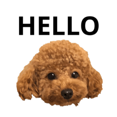[LINEスタンプ] JILL DOG GREETING 2