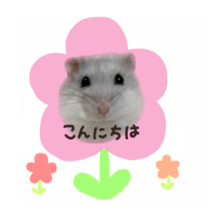 [LINEスタンプ] おもち よもぎ ここ ♥の画像（メイン）