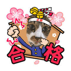 [LINEスタンプ] ねこちゃんスタンプ6