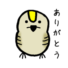 [LINEスタンプ] キクイタダキさん