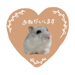 [LINEスタンプ] おもち よもぎ ここ ♥2