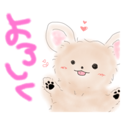 [LINEスタンプ] いぬころ＊言葉リクエスト1
