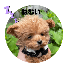 [LINEスタンプ] 使えるワン