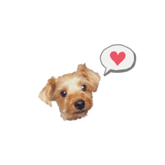 [LINEスタンプ] もっちゃん ②