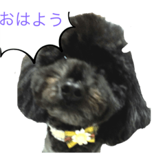 [LINEスタンプ] おジョコ様スタンプ！！！