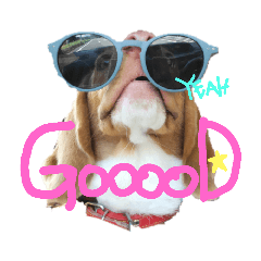 [LINEスタンプ] ビーグル犬のベックマン⑤
