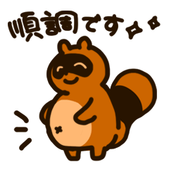 [LINEスタンプ] マタニティたぬき