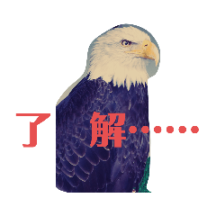 [LINEスタンプ] 動物スタンプ（改良版）