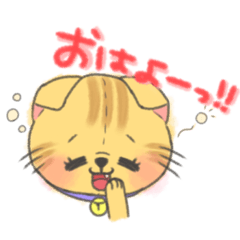 [LINEスタンプ] ふわふわねこーず