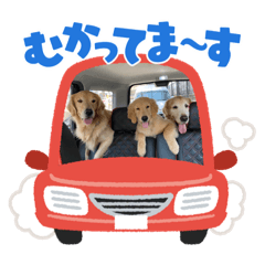 [LINEスタンプ] ゴールデンレトリバー金＆桃＆福