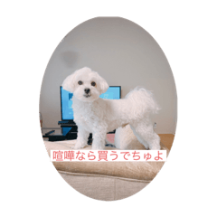 [LINEスタンプ] I am No. 1 strong DOGの画像（メイン）